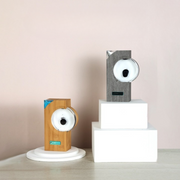 Fluxa Light - Lampada con Ferrofluido